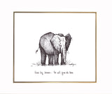 Elephant- Big Dreams
