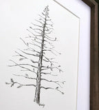 SIGNATURE GUEST TREE, 8x10 archival quality fine art paper print - wedding or shower guests sign tree branches instead of a guest book!