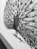 Peacock "Surround yourself with those who see the greatness within you." 8x10 archival quality fine art print, black and bright white.