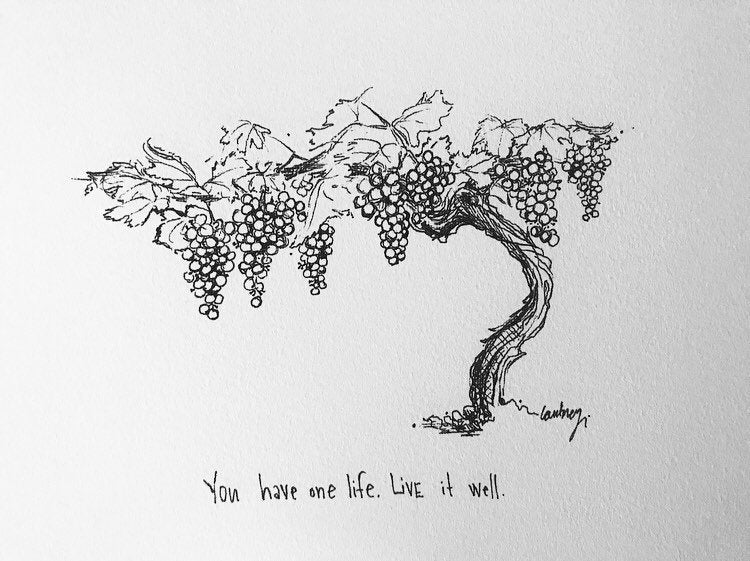 Grapevine 
