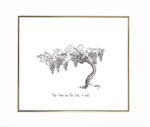 GRAPEVINE / IN A LIFETIME　BD+CD Amazon.co.jp: IN A LIFETIME (Blu-ray盤) : GRAPEVINE: DVD